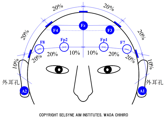 脳波国際10-20法に基づく電極配置図（正面）
