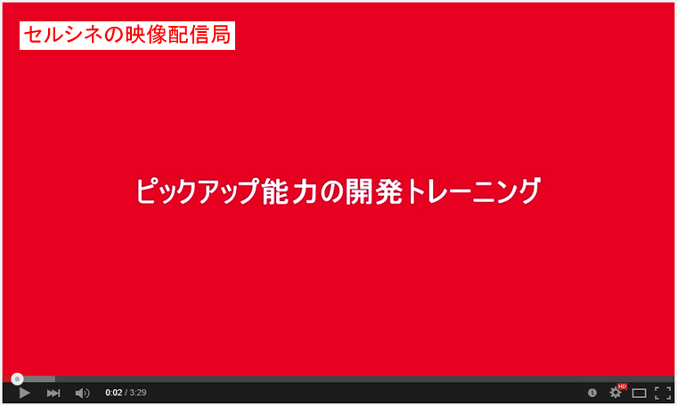 セルシネ・エイム研究所/和田知浩。ピックアップ能力の開発トレーニング−文字 ピックアップ能力の開発トレーニング−文字