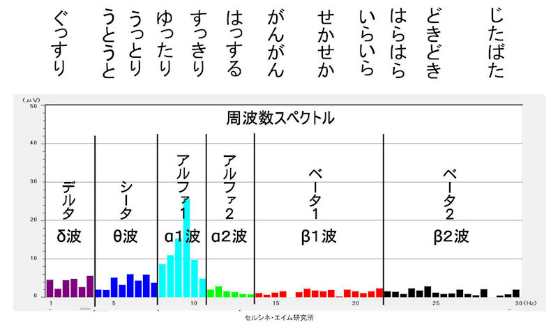 セルシネ・エイム研究所/和田知浩。TBS「口を揃えたフシギな話」 Aぇ! groupの佐野晶哉君がパワースポット押戸石巨石群でスプーン曲げをしたときの脳波を測定。TBSの特番「口を揃えたフシギな話」の裏話とゾーンについて。