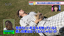 TOKYO MX「５時に夢中！」触れると最も癒してくれる動物は何なのか？を調査。06