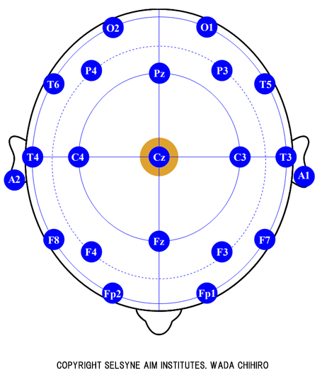 脳波国際10-20法に基づく電極配置図（上面）