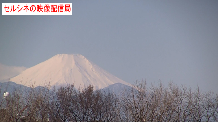 BGV−富士山と風にそよぐ樹木