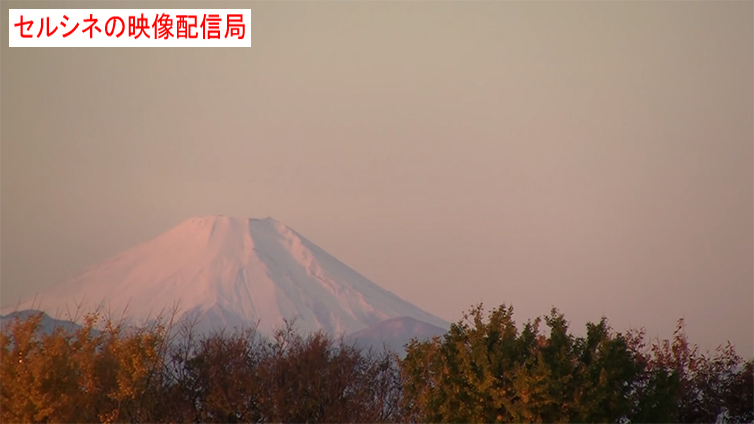 BGV−朝日を浴びる富士山と紅葉樹