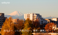 おはよー、いい天気だねー。東京・練馬より・・・