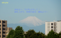 おはよー。今日もよろしく！　雨も上がり、快晴の東京・練馬より～