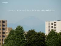 おはよー。富士山にかろうじて雪があるね。東京・練馬より～