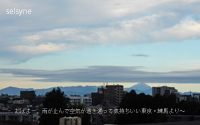 おはよー。雨が止んで空気が透き通って気持ちいい東京・練馬より～