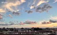 今日も一日ありがとう。午前中の黒く厚い雲から一転、夕陽に染まった空が綺麗で、富士山もくっきりと見えています。東京／練馬より～