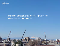 最近の東京は、前後左右遠近の至る所にクレーン車が立っています。景気がいいのかな～　東京・練馬より～