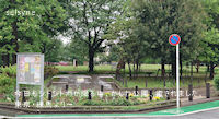 今日もシトシト雨が降る中、かしわ公園、癒されました。東京・練馬より～