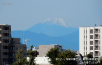 おはよー。今朝の富士山、東京・練馬より～　こんな歪だったっけ？