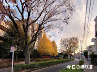 今日の帰り道