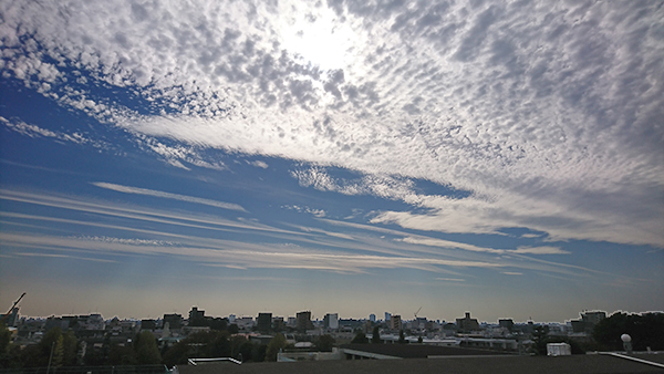 空を見上げてまったりしてる、午後のひととき・・・。東京・練馬より～