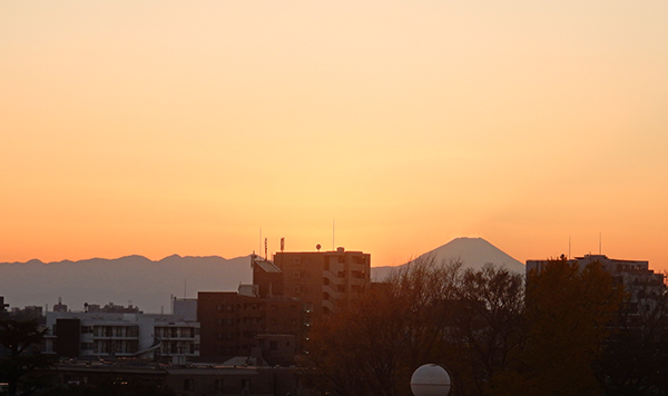 今日も一日ありがとう。東京・練馬より～