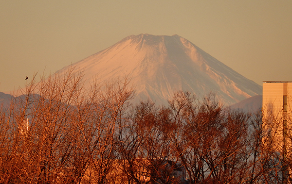 おはよー、今日も宜しく！　東京・練馬より～