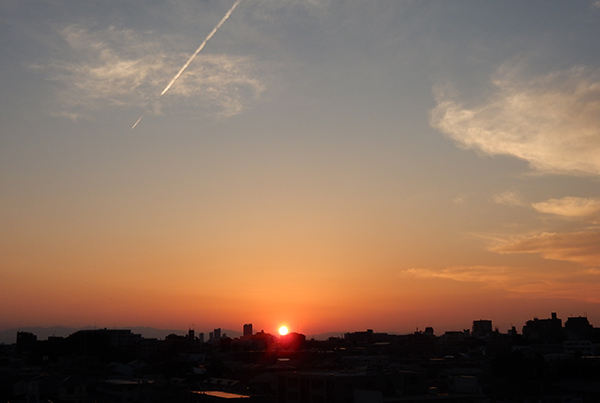 気持ちのいい一日だったねー。今日も一日ありがとう。東京・練馬より。