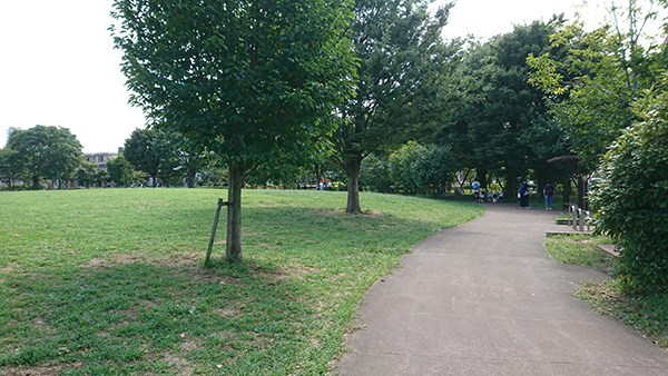 買い出し後、ゆっくり「中村かしわ公園」の方を散歩して帰ってきました。気持ちいいねー。