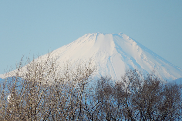 意図したことが色々実現しています。視界良好の東京・練馬より～