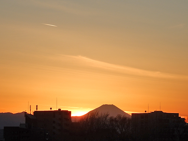 今日も一日ありがとう。準備万端整いました。東京・練馬より～