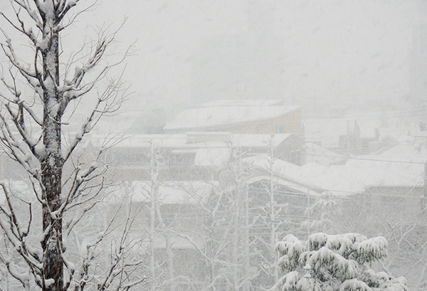 予報通り雪が降ったねー。昨日まで続いた連夜の通勤中に降らなくて良かったー。雨の日が一日あったけどね。東京・練馬より～