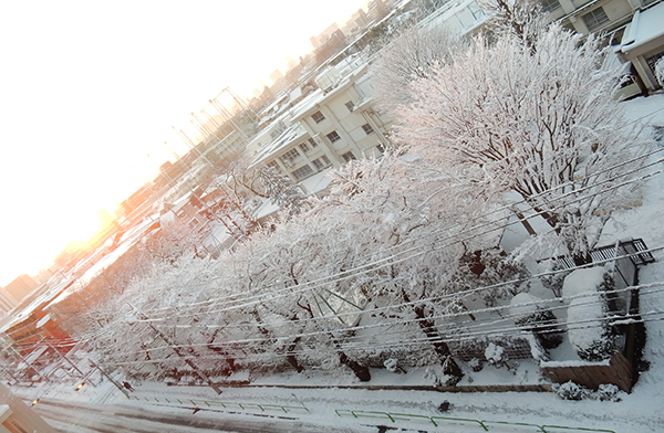 足下に気をつけてね～。上も、前も、横も、後ろも・・・。東京・練馬より～