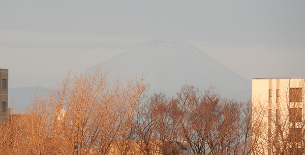 おはよー。そろそろ1月も終わりだねー。東京・練馬より～