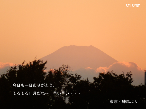 今日も一日ありがとう。そろそろ11月だね～。早い早い・・・。東京・練馬より