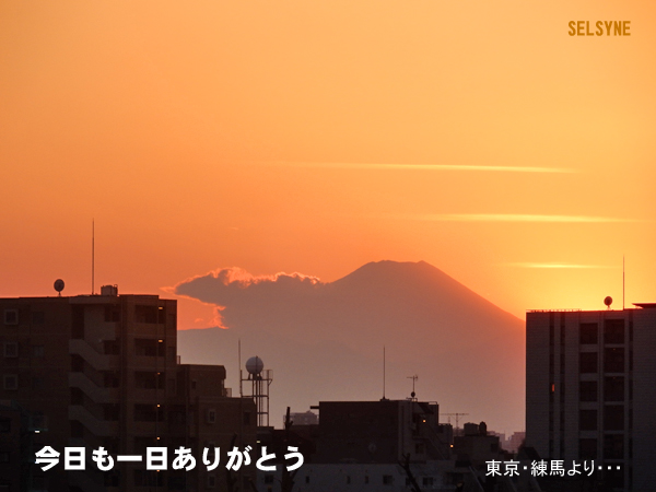 今日も一日ありがとう。東京・練馬より・・・