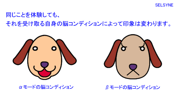 乱暴に断定的に言います・・・。癇（かん）に障ったり癪（しゃく）に障ったり、すなわち癇癪を起こすのは、脳波が速波（β波やγ波）モードの脳で刺激を受け取っているからです。αモードで体験していると心は乱れません。癇癪を起こすのはまだましで、その癇癪を抑え込んでいると心は壊れてしまいます。