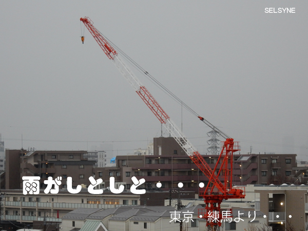 雨がしとしと・・・　東京・練馬より・・・