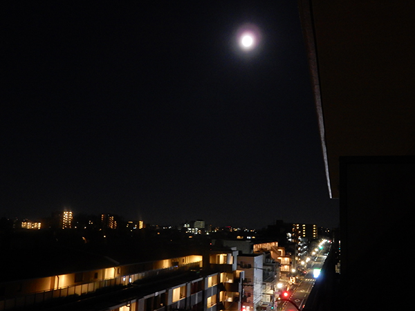 おはよー、今日もよろしく。もうすぐ夜が明ける東京・練馬より。