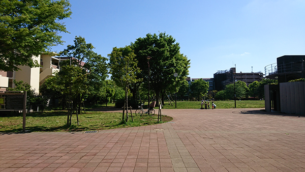 気分爽快！　身体にも心にも色んな空気にも、潤いと遊びが必要だね。東京・練馬より～