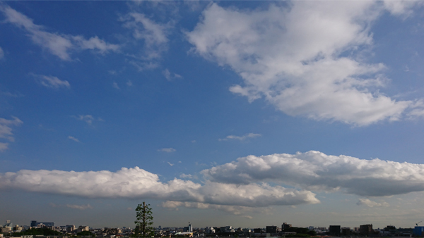 久しぶりに空を見た気がする・・・。東京・練馬より～