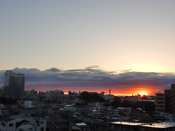 おはよー、爽やかな朝だねー。東京・練馬より~ おはよー、爽やかな朝だねー。東京・練馬より~