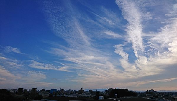 梅雨真っ只中とは思えないほど、気持ち良かったねー。