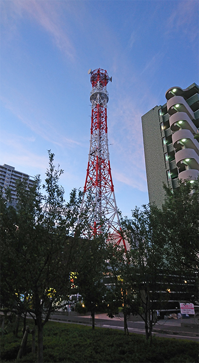 おはよー。今朝の散歩コース。東京・練馬より～