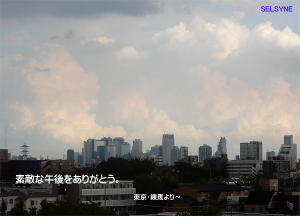 素敵な午後をありがとう。東京・練馬より～