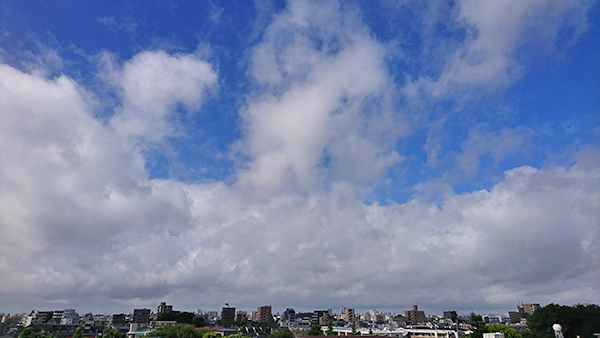 おはよー。今回は東から西に移動しているから通過後も南から湿った空気が入って台風一過とはなりにくいんだって。でも、その上には青空がある。東京・練馬より。