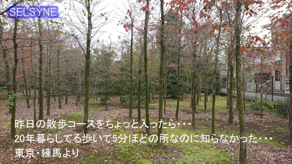 昨日の散歩コースをちょっと入ったら・・・　20年暮らしてる歩いて5分ほどの所なのに知らなかった・・・　東京・練馬より