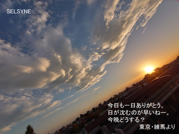 今日も一日ありがとう。日が沈むのが早いねー。今晩どうする？　東京・練馬より