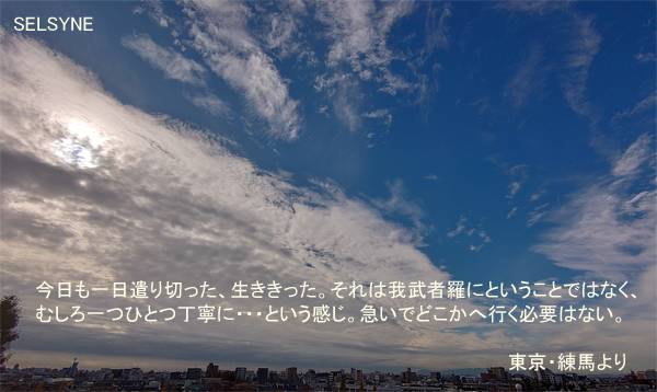 今日も一日遣り切った、生ききった。それは我武者羅にということではなく、むしろ一つひとつ丁寧に・・・という感じ。急いでどこかへ行く必要はない。東京・練馬より