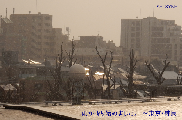 雨が降り始めました。　～東京・練馬