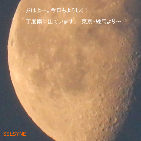 おはよー。今日もよろしく! 丁度南に出ています。 東京・練馬より~ おはよー。今日もよろしく! 丁度南に出ています。 東京・練馬より~