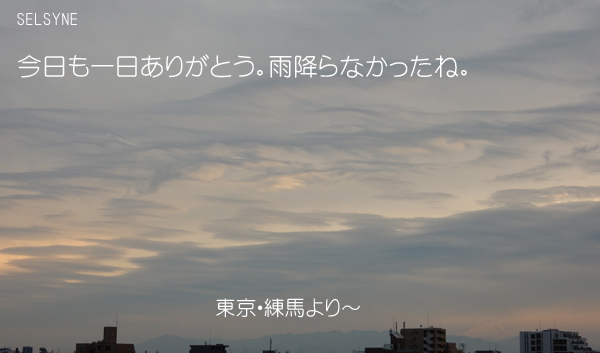 今日も一日ありがとう。雨降らなかったね。東京・練馬より～