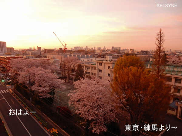 おはよー　東京・練馬より～