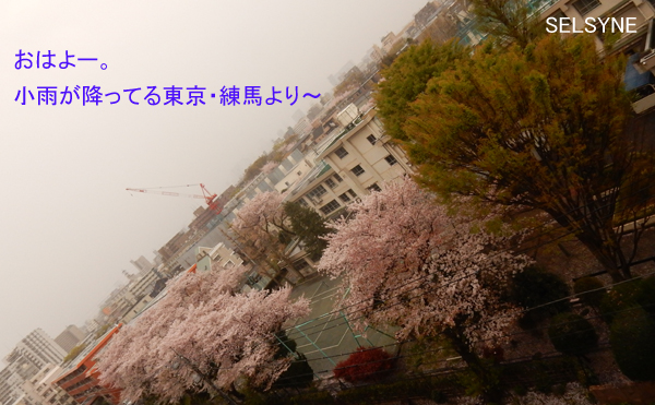 おはよー。小雨が降ってる東京・練馬より～