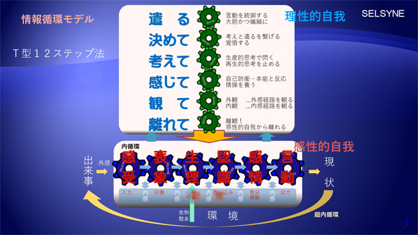 能力開発や目標達成が進まない、或いは人間関係に躓いた時など、頑張っても頑張っても好転しないことがあります。そんな時、どこを自己改善すれば良いのか、その対象が分かった途端に好転する人がいます。情報循環モデル「Ｔ型12ステップ法」を2本の動画で紹介しています。