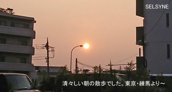 和田知浩 清々しい朝の散歩でした。東京・練馬より~