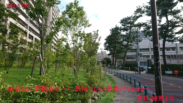 昨日は中野区まで・・・、気持ちいい散歩だったねー。東京・練馬より