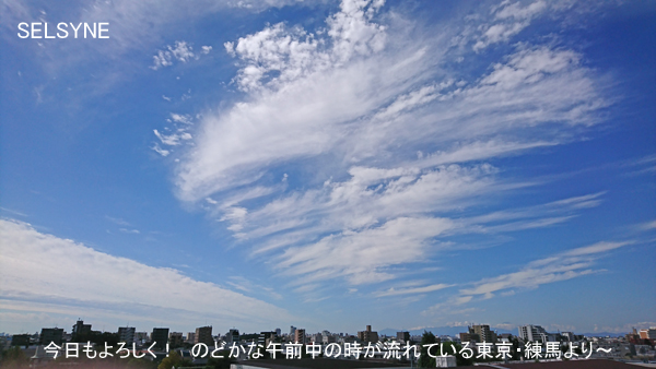 今日もよろしく！　のどかな午前中の時が流れている東京・練馬より～